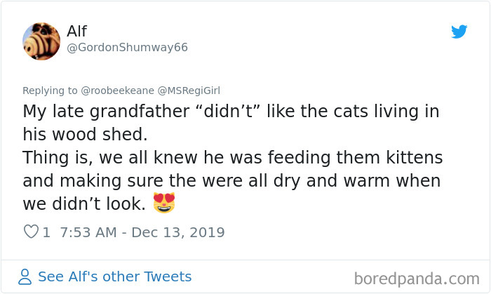 Parents-Didnt-Want-Cat-Now-Loves-Them