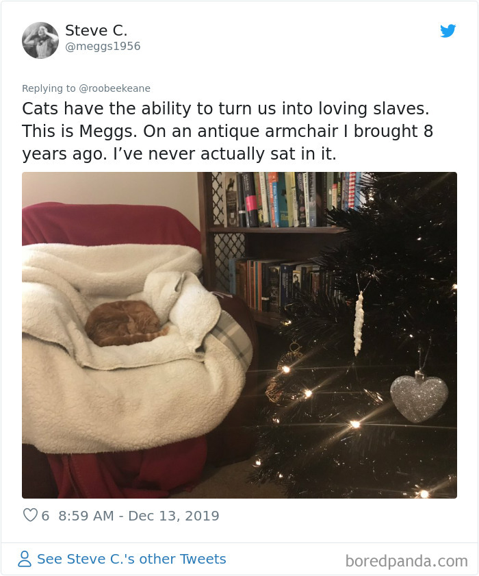 Parents-Didnt-Want-Cat-Now-Loves-Them