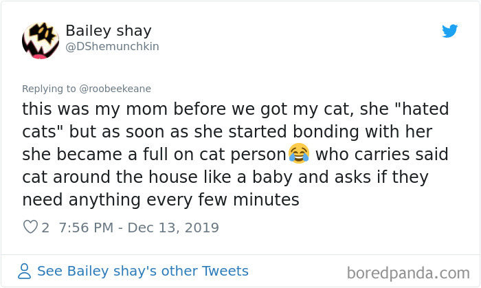 Parents-Didnt-Want-Cat-Now-Loves-Them