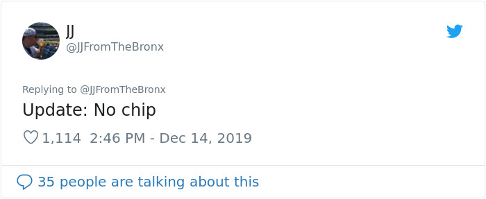 Guy Accidentally Leaves His Front Door Open, Gets 'Chosen' By A Stray Dog Who Walked In At Night