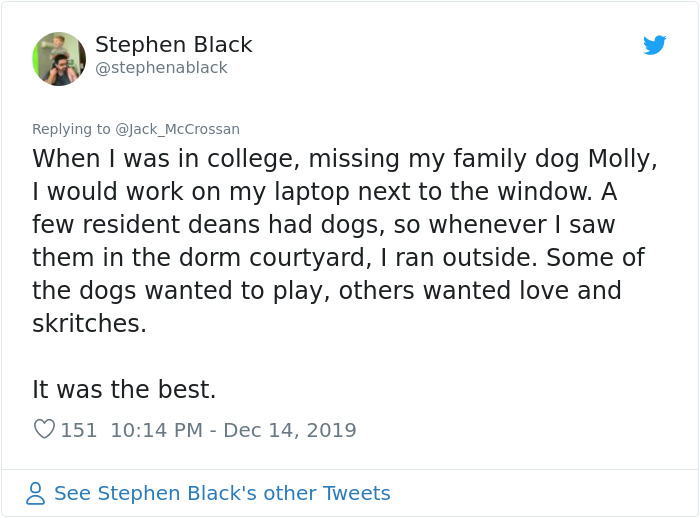 4 Guys Beg Their Neighbor To Let Them Play With Their Dog, Get A Wholesome Letter In Response 4 Guys Beg Their Neighbor To Let Them Play With Their Dog, Get A Wholesome Letter In Response