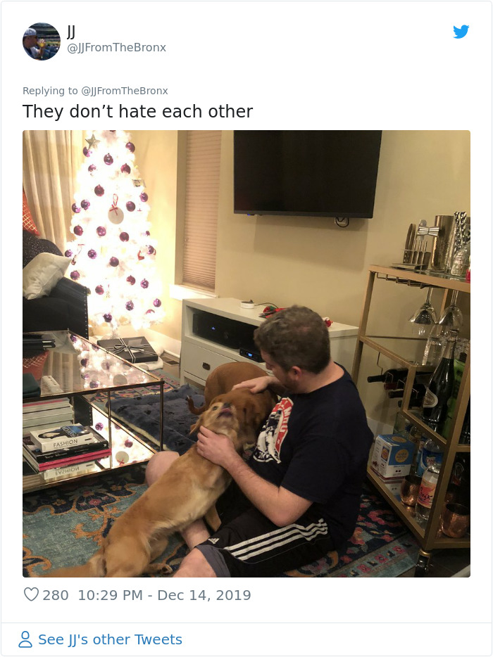 Guy Accidentally Leaves His Front Door Open, Gets 'Chosen' By A Stray Dog Who Walked In At Night