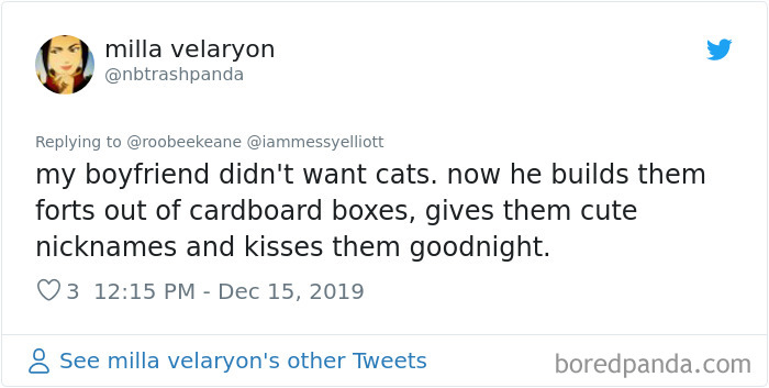 Parents-Didnt-Want-Cat-Now-Loves-Them