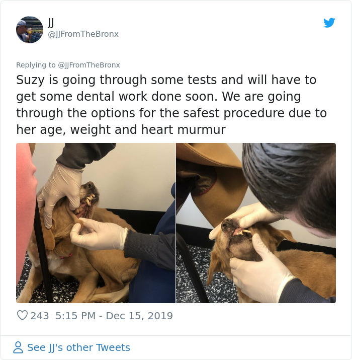 Guy Accidentally Leaves His Front Door Open, Gets 'Chosen' By A Stray Dog Who Walked In At Night Guy Accidentally Leaves His Front Door Open, Gets 'Chosen' By A Stray Dog Who Walked In At Night