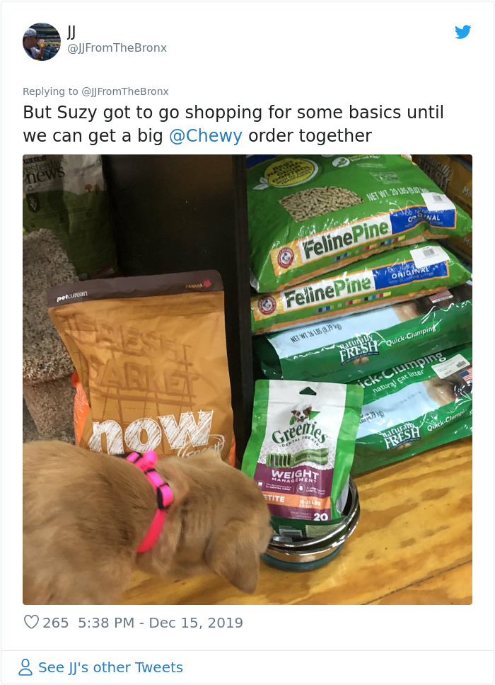 Guy Accidentally Leaves His Front Door Open, Gets 'Chosen' By A Stray Dog Who Walked In At Night Guy Accidentally Leaves His Front Door Open, Gets 'Chosen' By A Stray Dog Who Walked In At Night