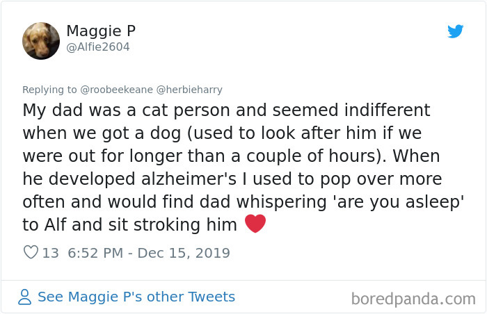 Parents-Didnt-Want-Cat-Now-Loves-Them