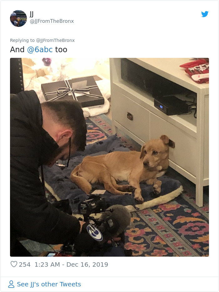 Guy Accidentally Leaves His Front Door Open, Gets 'Chosen' By A Stray Dog Who Walked In At Night Guy Accidentally Leaves His Front Door Open, Gets 'Chosen' By A Stray Dog Who Walked In At Night