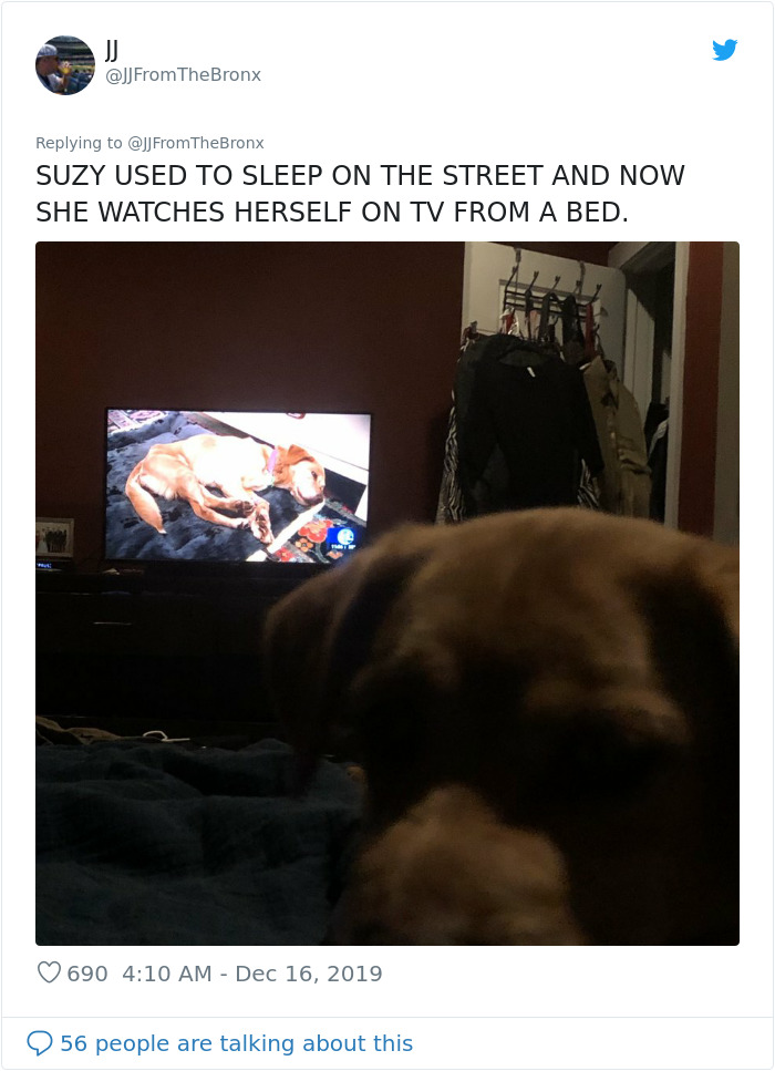 Guy Accidentally Leaves His Front Door Open, Gets 'Chosen' By A Stray Dog Who Walked In At Night Guy Accidentally Leaves His Front Door Open, Gets 'Chosen' By A Stray Dog Who Walked In At Night