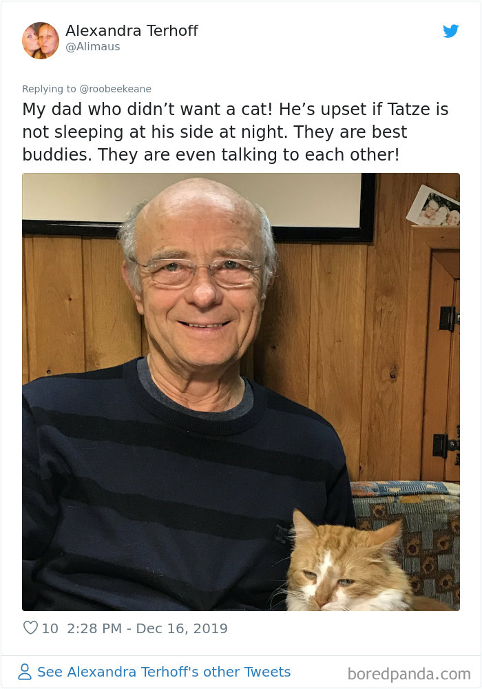 Parents-Didnt-Want-Cat-Now-Loves-Them