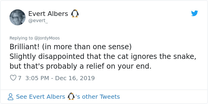 Engineer Shares A Video Of Christmas Tree Lights Turned Into A Snake Game Controlled With PS4 Controller