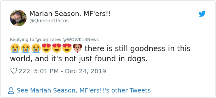 Stolen Pit Bull Found 2,000 Miles Away Returns Home For Christmas With The Help Of 15 Volunteers Stolen Pit Bull Found 2,000 Miles Away Returns Home For Christmas With The Help Of 15 Volunteers