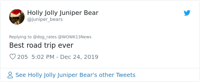 Stolen Pit Bull Found 2,000 Miles Away Returns Home For Christmas With The Help Of 15 Volunteers