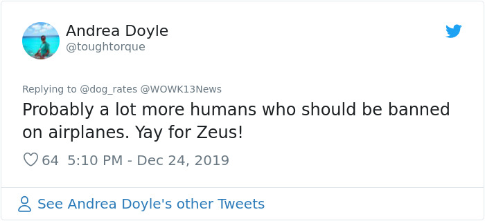 Stolen Pit Bull Found 2,000 Miles Away Returns Home For Christmas With The Help Of 15 Volunteers