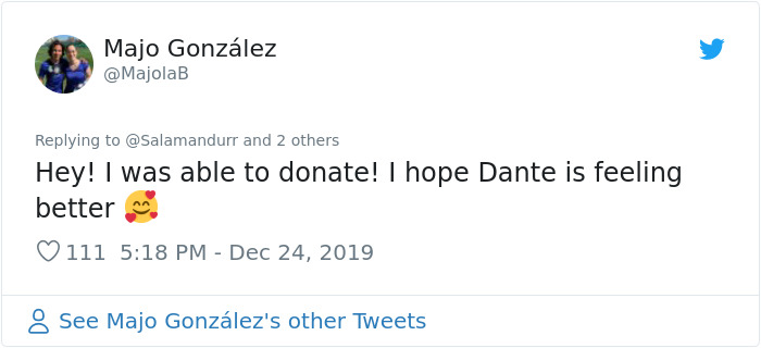 Stolen Pit Bull Found 2,000 Miles Away Returns Home For Christmas With The Help Of 15 Volunteers