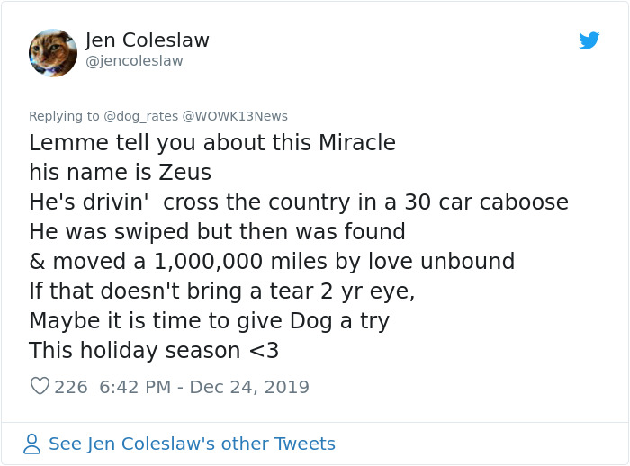 Stolen Pit Bull Found 2,000 Miles Away Returns Home For Christmas With The Help Of 15 Volunteers