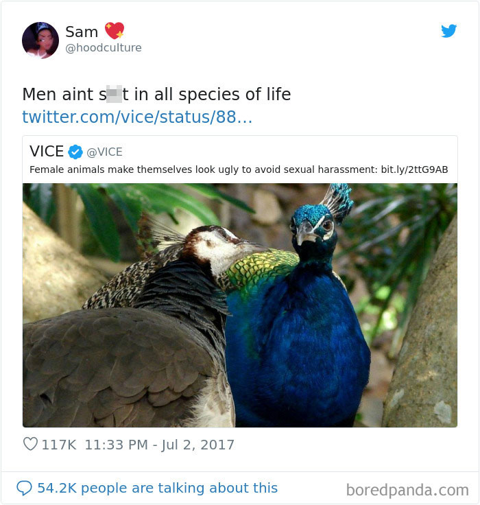 Women-Tweets-Jokes-About-Men