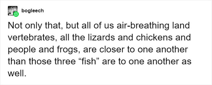 People Share Mindblowing Pairs Of Animals That Look Similar But Are Genetically Incompatible People Share Mindblowing Pairs Of Animals That Look Similar But Are Genetically Incompatible