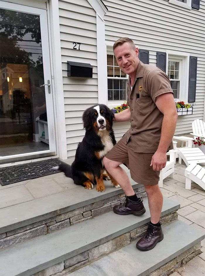 UPS-Drivers-Meets-Animals-Dogs
