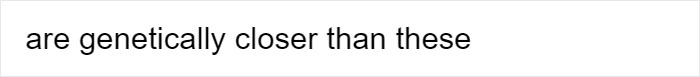People Share Mindblowing Pairs Of Animals That Look Similar But Are Genetically Incompatible People Share Mindblowing Pairs Of Animals That Look Similar But Are Genetically Incompatible