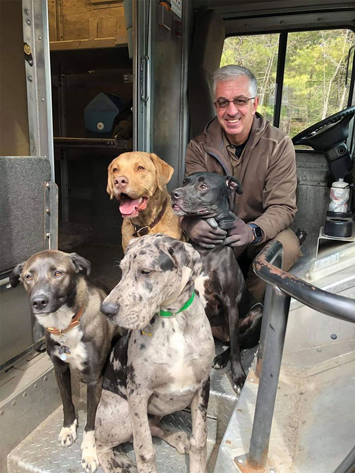 UPS-Drivers-Meets-Animals-Dogs