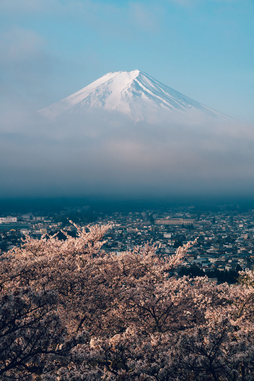 Mt. Fuji