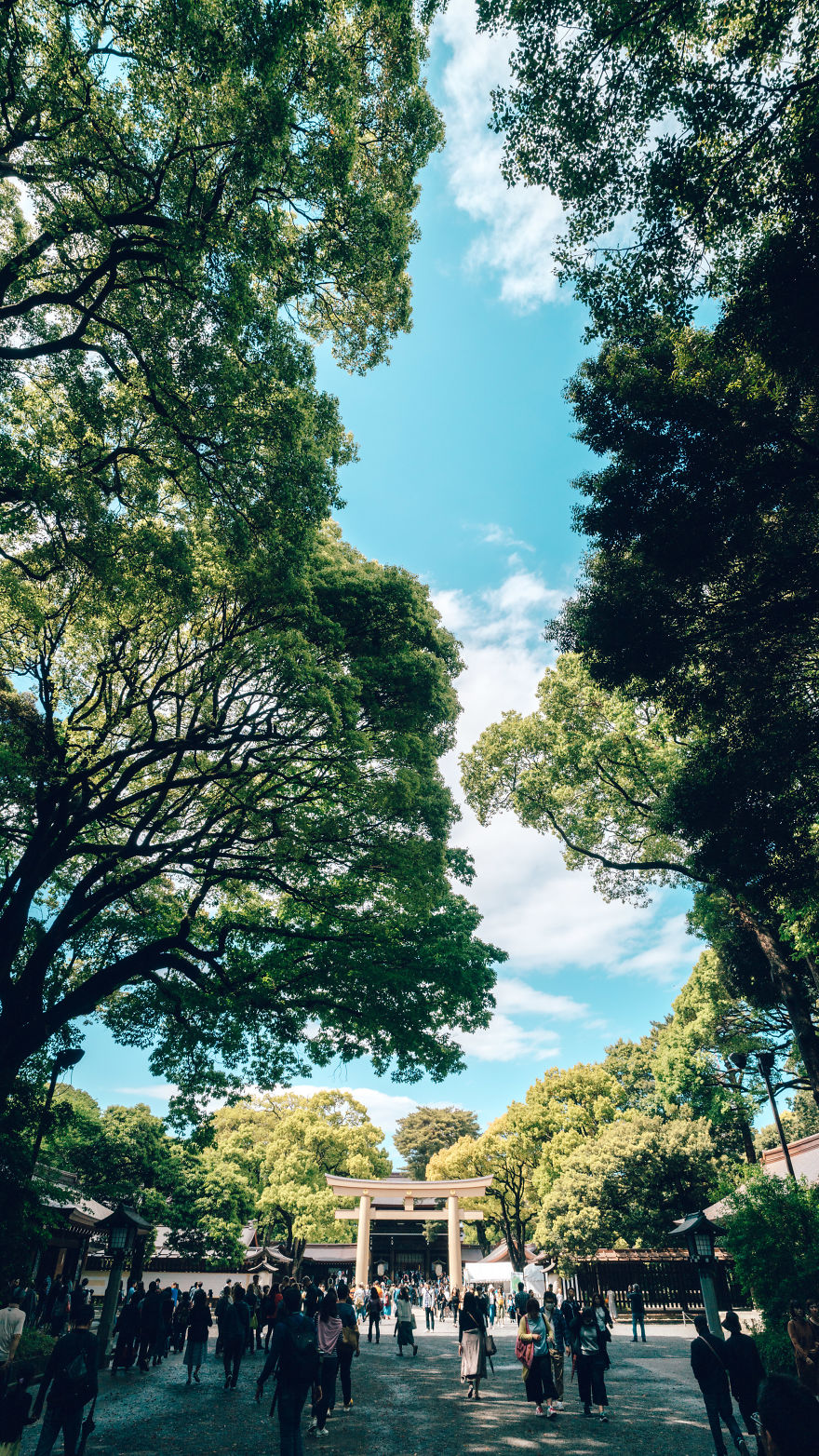 Meiji Shrine