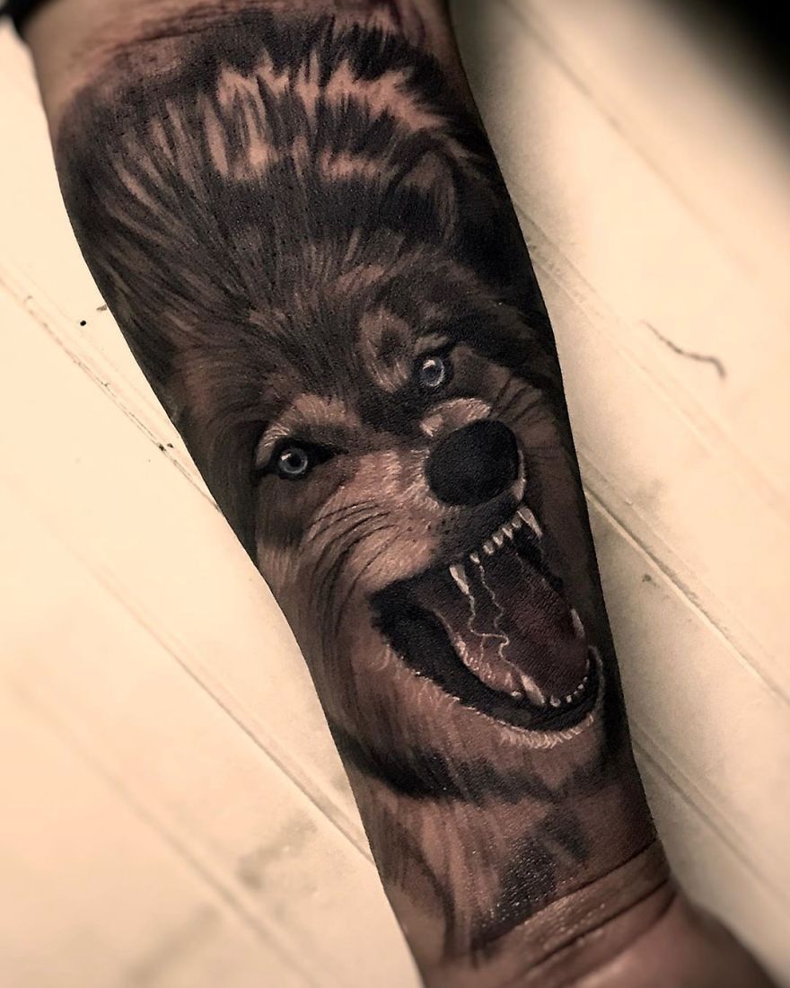 Close-up of a masculine tattoo on a forearm depicting a realistic snarling wolf design.