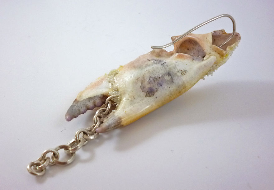 I Turn Creepy Crabs Into Jewels I Turn Creepy Crabs Into Jewels