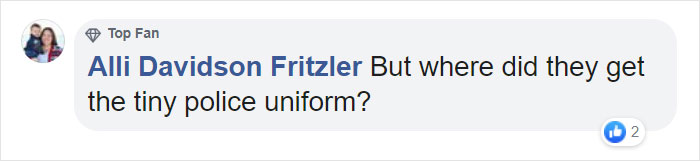 NYPD Posts The Adventures Of Their 'Law & Order'-Themed Elf On The Shelf