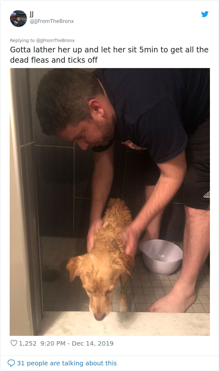 Guy Accidentally Leaves His Front Door Open, Gets 'Chosen' By A Stray Dog Who Walked In At Night Guy Accidentally Leaves His Front Door Open, Gets 'Chosen' By A Stray Dog Who Walked In At Night