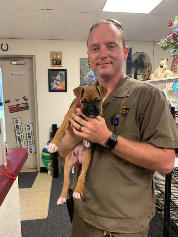UPS-Drivers-Meets-Animals-Dogs