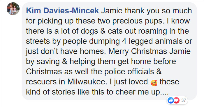This Bus Driver Notices 2 Lost Dogs On The Roadside, Helps Them Make It Home For The Holidays This Bus Driver Notices 2 Lost Dogs On The Roadside, Helps Them Make It Home For The Holidays