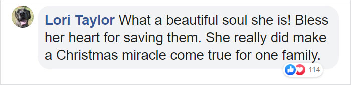 This Bus Driver Notices 2 Lost Dogs On The Roadside, Helps Them Make It Home For The Holidays This Bus Driver Notices 2 Lost Dogs On The Roadside, Helps Them Make It Home For The Holidays