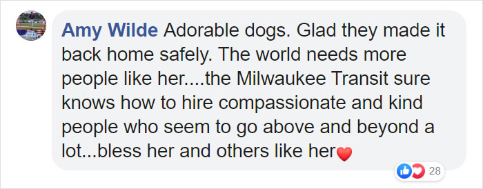 This Bus Driver Notices 2 Lost Dogs On The Roadside, Helps Them Make It Home For The Holidays This Bus Driver Notices 2 Lost Dogs On The Roadside, Helps Them Make It Home For The Holidays