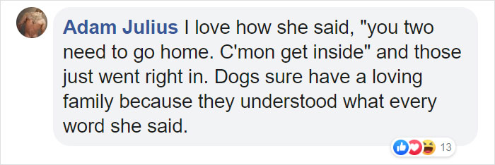 This Bus Driver Notices 2 Lost Dogs On The Roadside, Helps Them Make It Home For The Holidays This Bus Driver Notices 2 Lost Dogs On The Roadside, Helps Them Make It Home For The Holidays