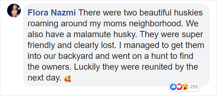 This Bus Driver Notices 2 Lost Dogs On The Roadside, Helps Them Make It Home For The Holidays This Bus Driver Notices 2 Lost Dogs On The Roadside, Helps Them Make It Home For The Holidays
