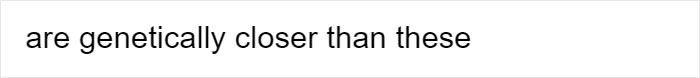 People Share Mindblowing Pairs Of Animals That Look Similar But Are Genetically Incompatible People Share Mindblowing Pairs Of Animals That Look Similar But Are Genetically Incompatible