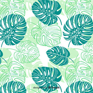 catsarethebestones avatar