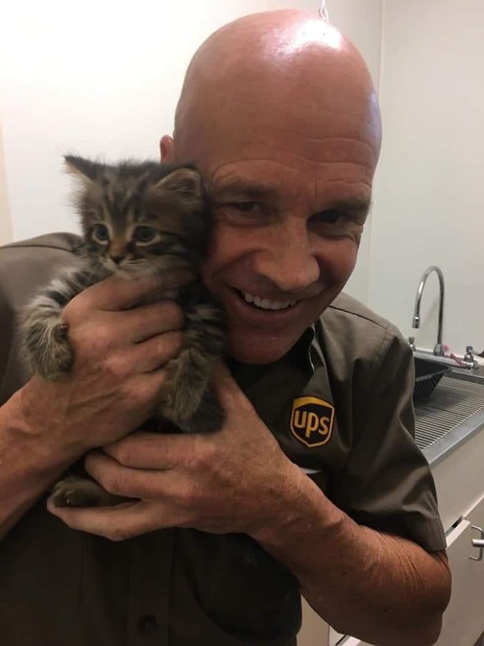 UPS-Drivers-Meets-Animals-Dogs