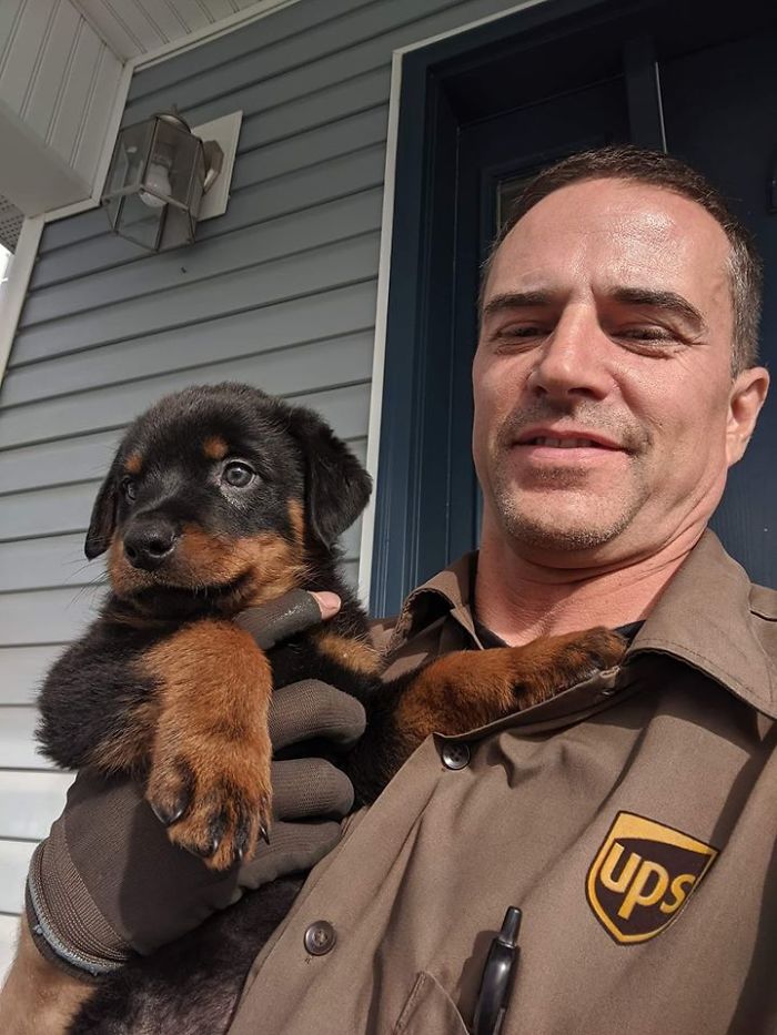 UPS-Drivers-Meets-Animals-Dogs