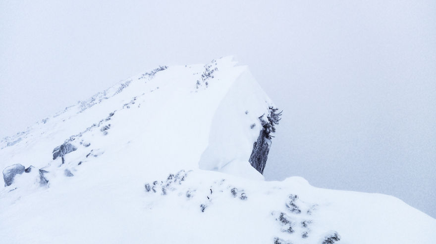 My 20 Photos Of Subalpine Area In Winter, Tatra Mountains