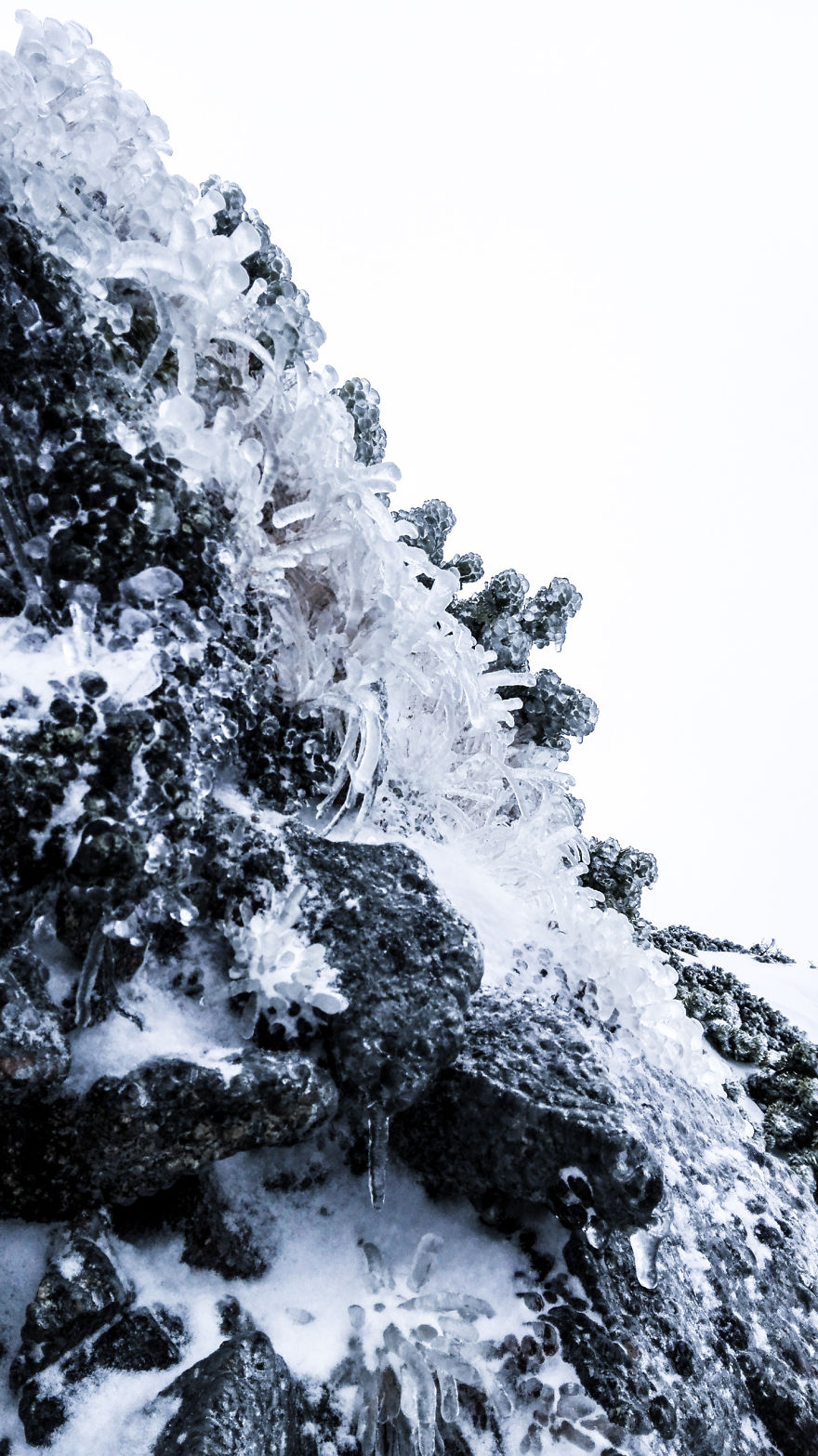 My 20 Photos Of Subalpine Area In Winter, Tatra Mountains