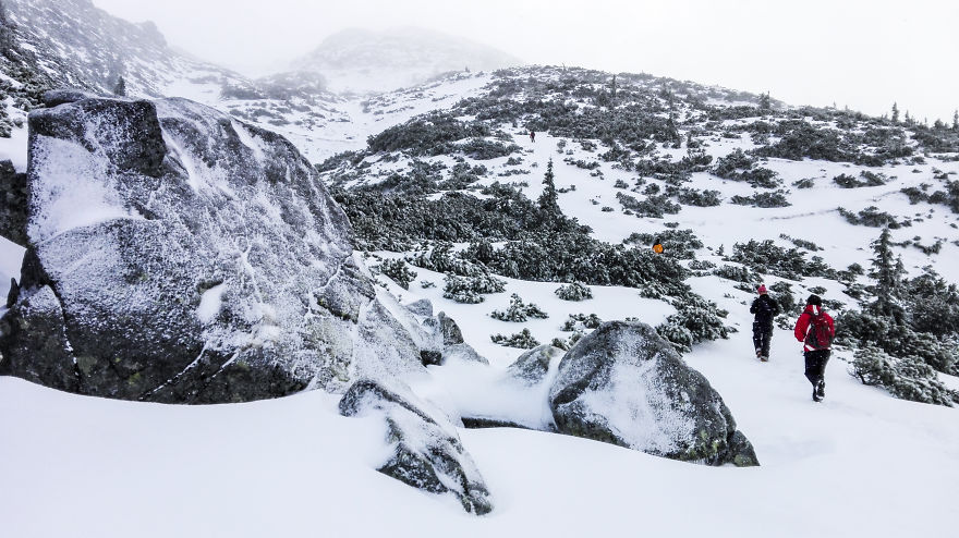 My 20 Photos Of Subalpine Area In Winter, Tatra Mountains