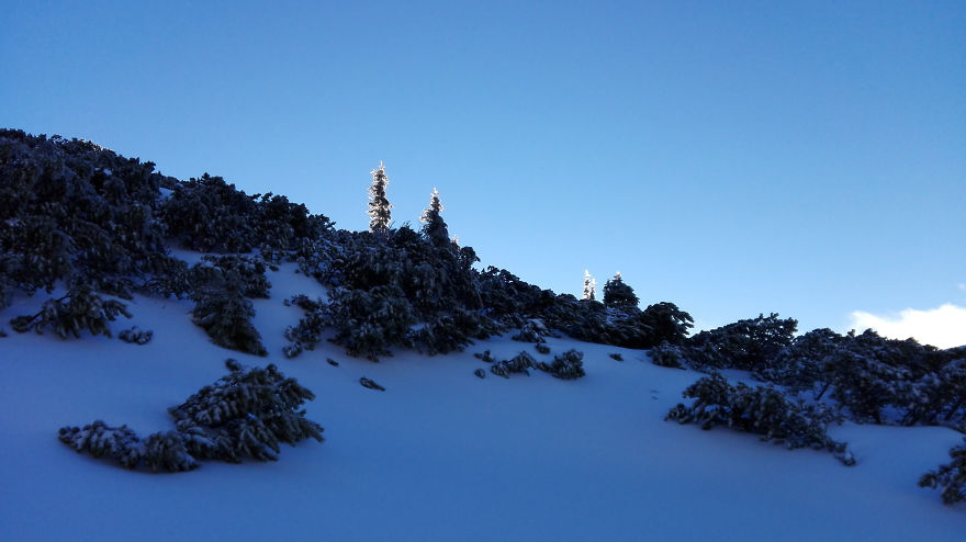 My 20 Photos Of Subalpine Area In Winter, Tatra Mountains