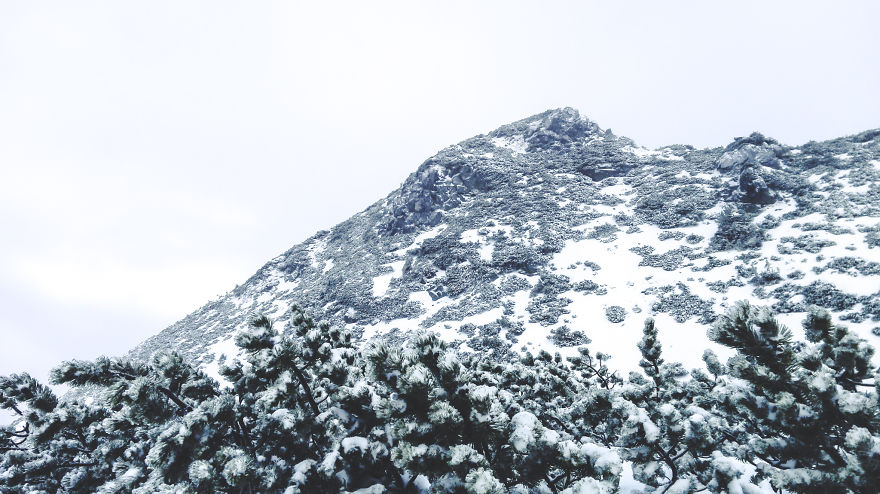 My 20 Photos Of Subalpine Area In Winter, Tatra Mountains My 20 Photos Of Subalpine Area In Winter, Tatra Mountains