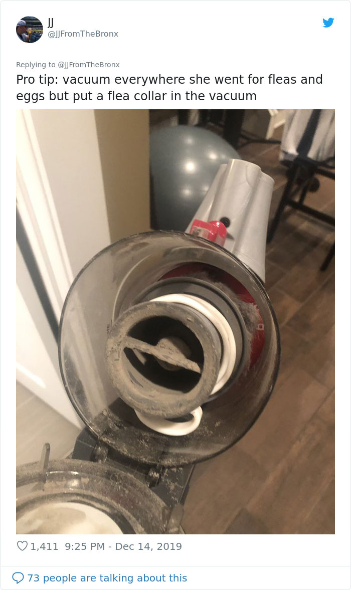 Guy Accidentally Leaves His Front Door Open, Gets 'Chosen' By A Stray Dog Who Walked In At Night