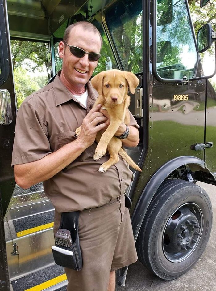 UPS-Drivers-Meets-Animals-Dogs