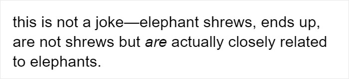 People Share Mindblowing Pairs Of Animals That Look Similar But Are Genetically Incompatible People Share Mindblowing Pairs Of Animals That Look Similar But Are Genetically Incompatible