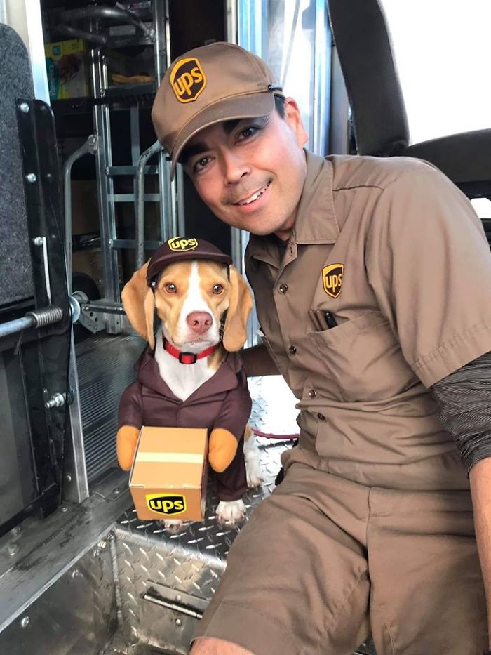 UPS-Drivers-Meets-Animals-Dogs