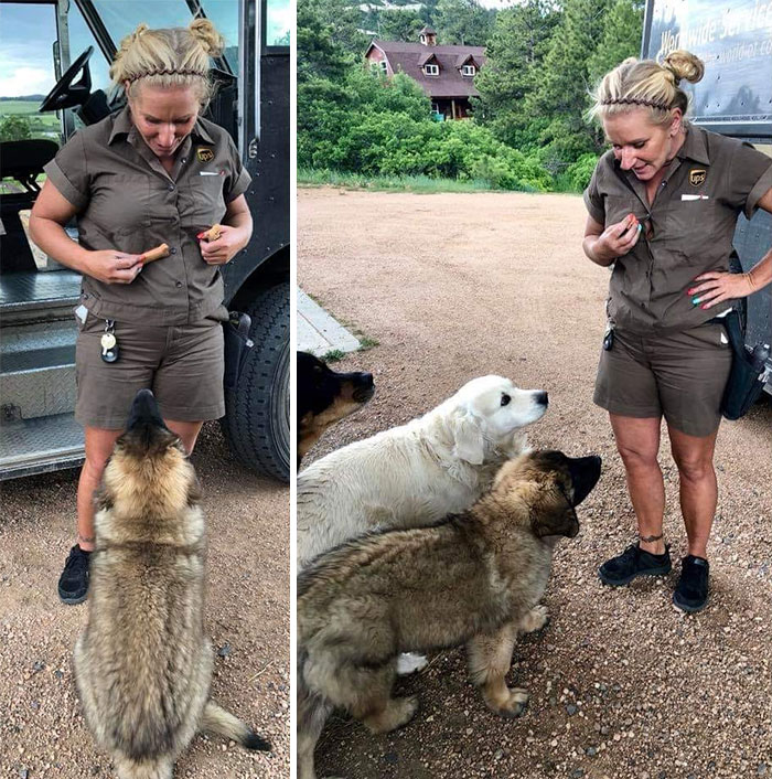 UPS-Drivers-Meets-Animals-Dogs